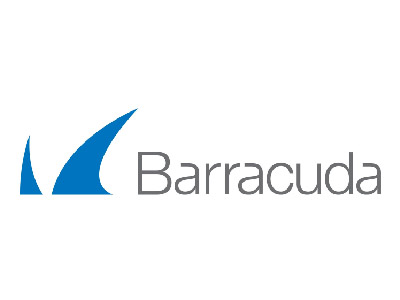Network Infrastructure Partner